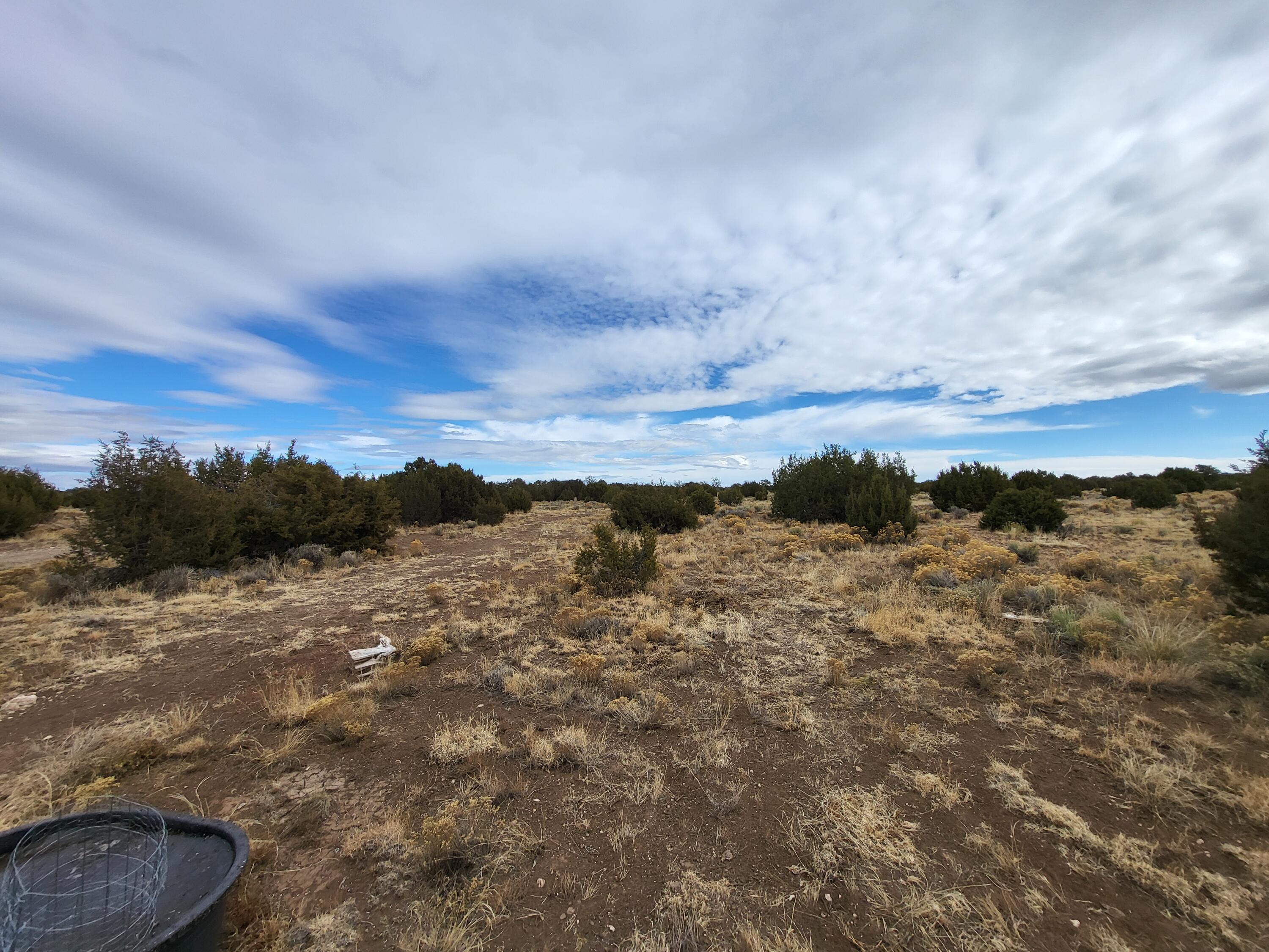 738 Moreno Hill Road, Fence Lake, New Mexico image 37