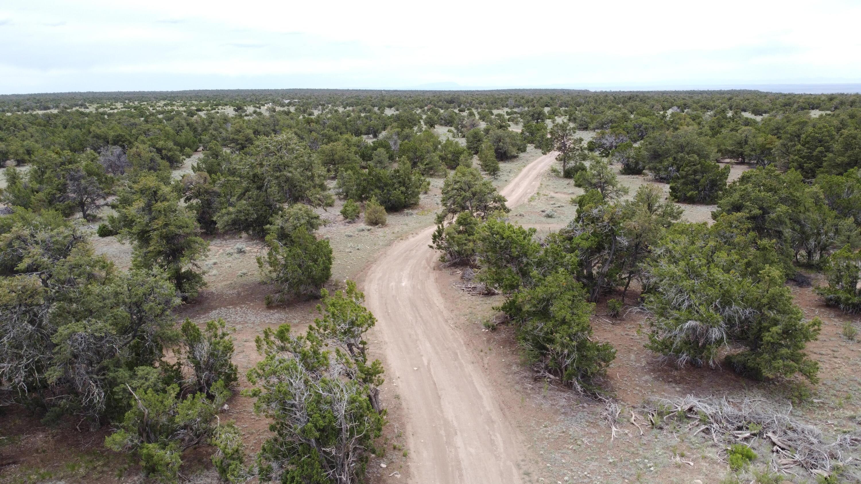 738 Moreno Hill Road, Fence Lake, New Mexico image 49