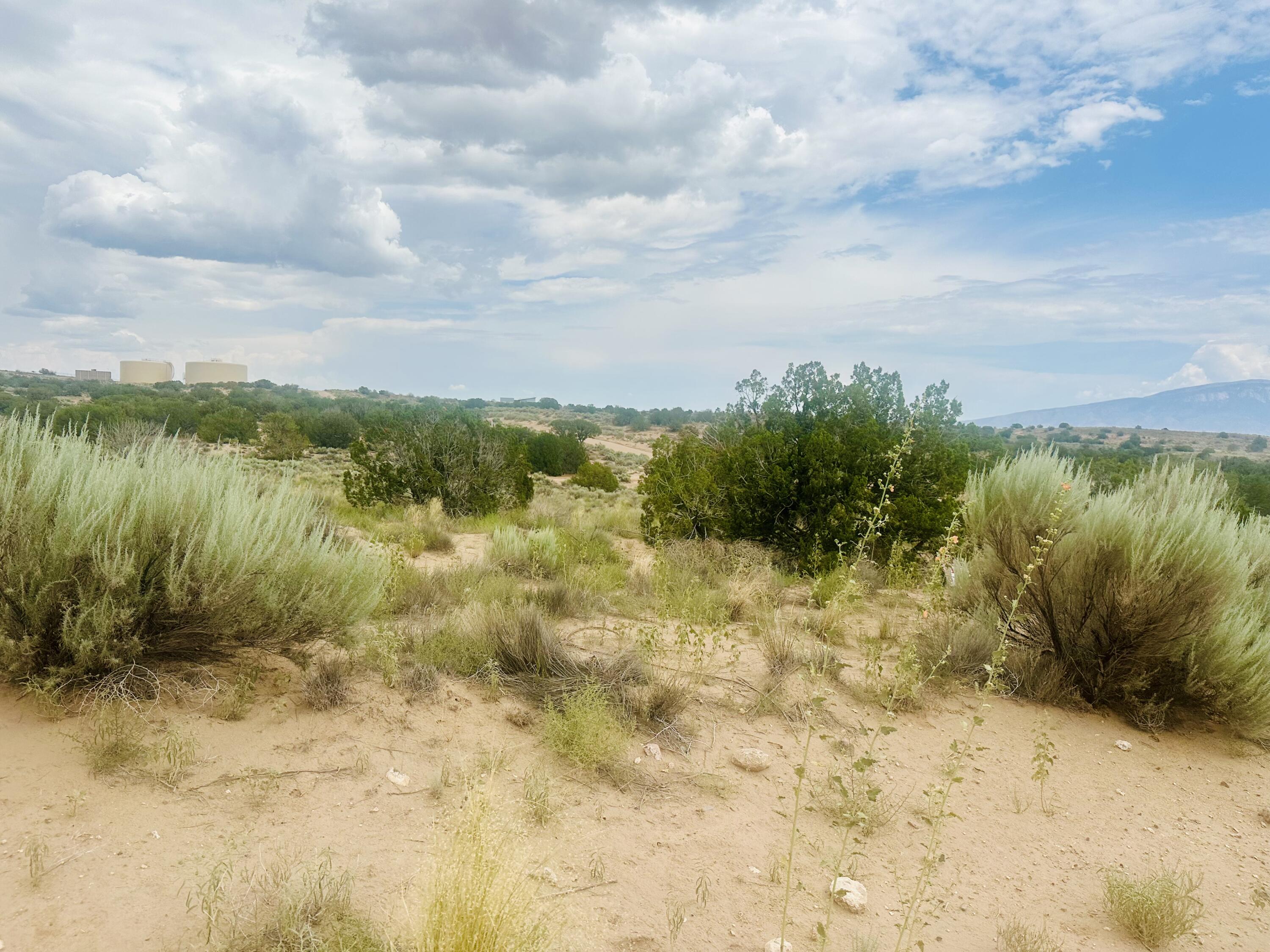 5208 Bachmann Court, Rio Rancho, New Mexico image 4
