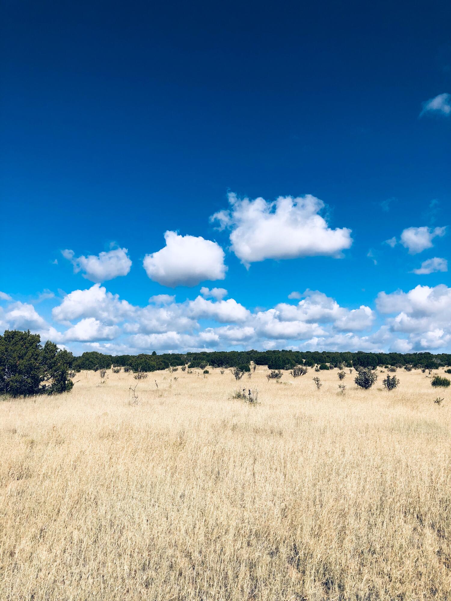 Mission Hills Lot 10, Estancia, New Mexico image 1