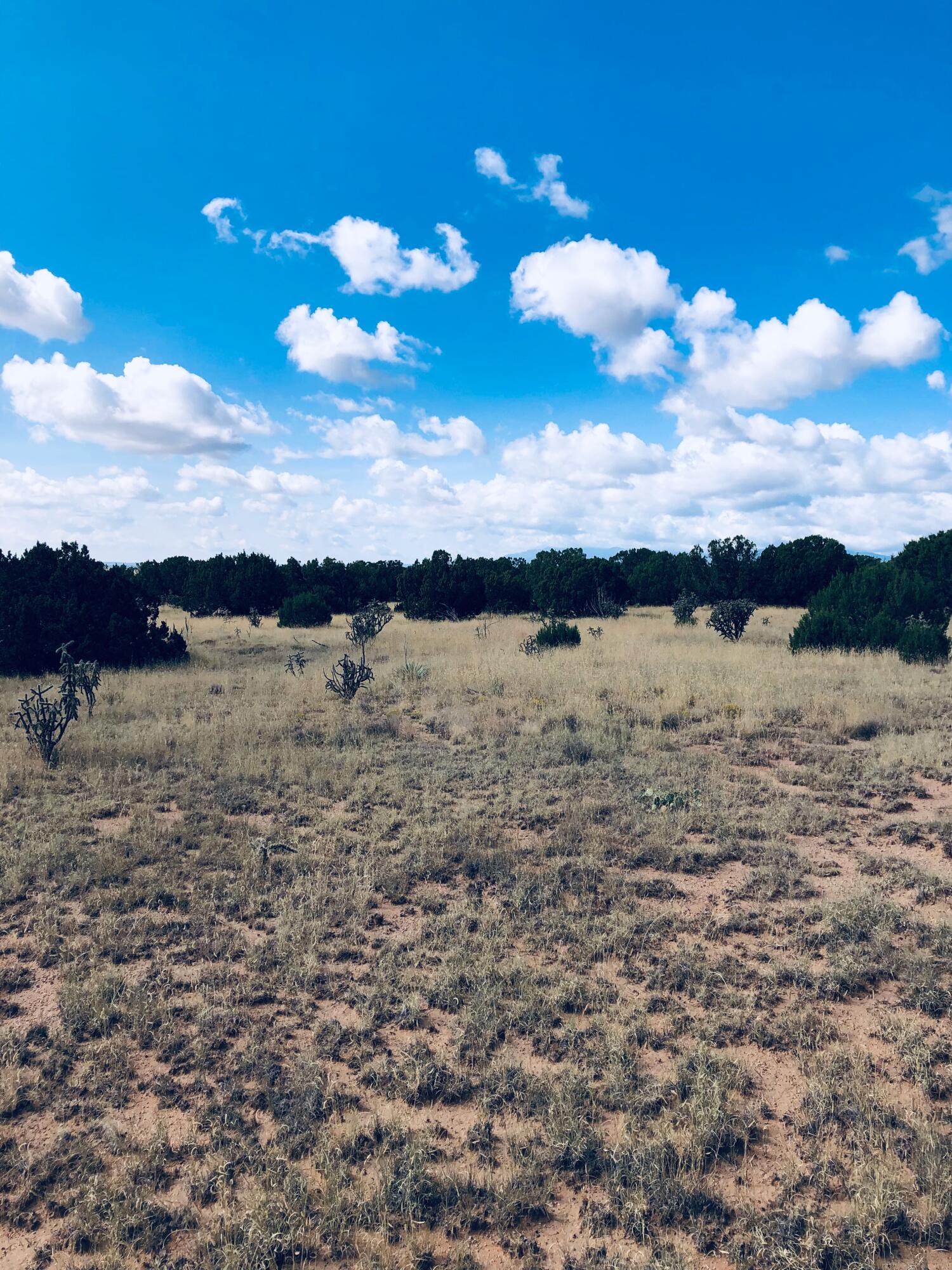 Mission Hills Lot 10, Estancia, New Mexico image 3