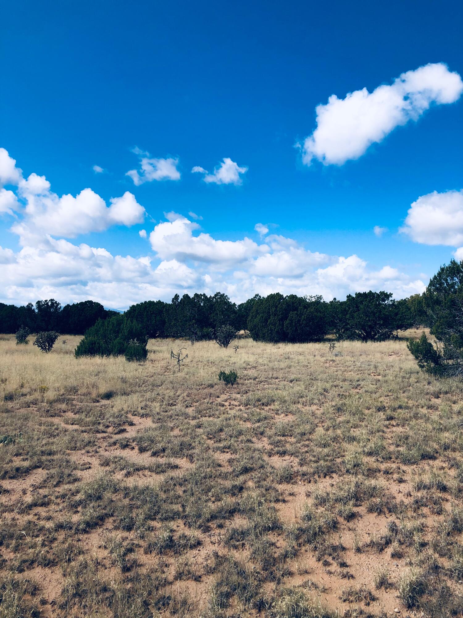 Mission Hills Lot 10, Estancia, New Mexico image 4