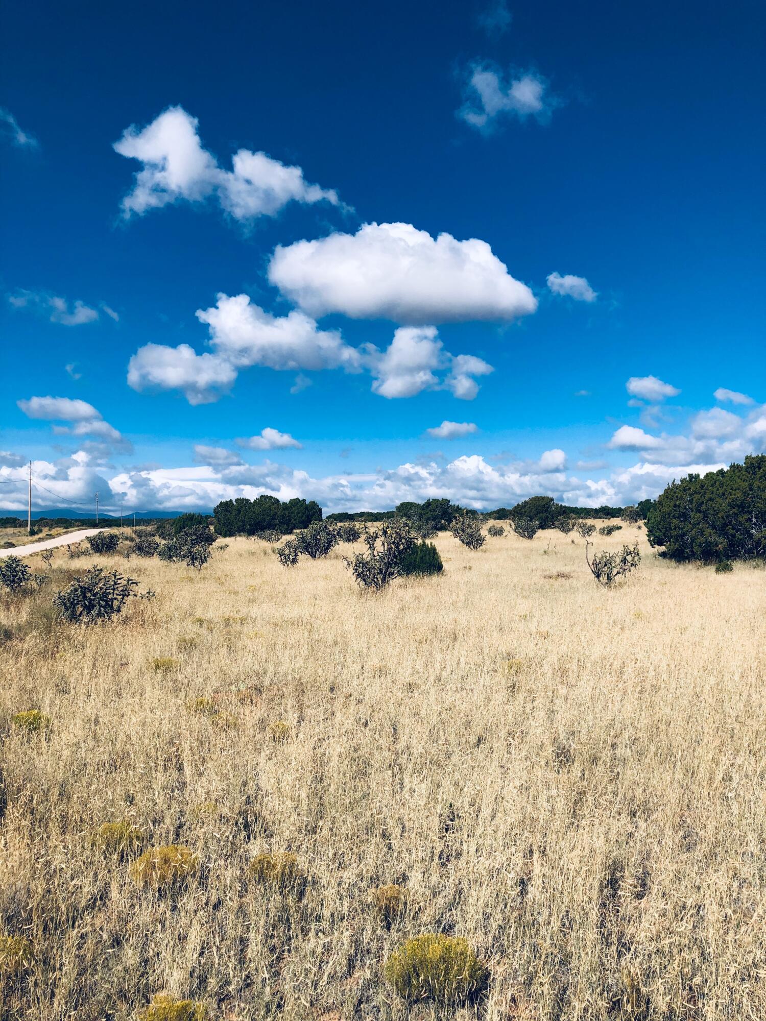 Mission Hills Lot 10, Estancia, New Mexico image 2