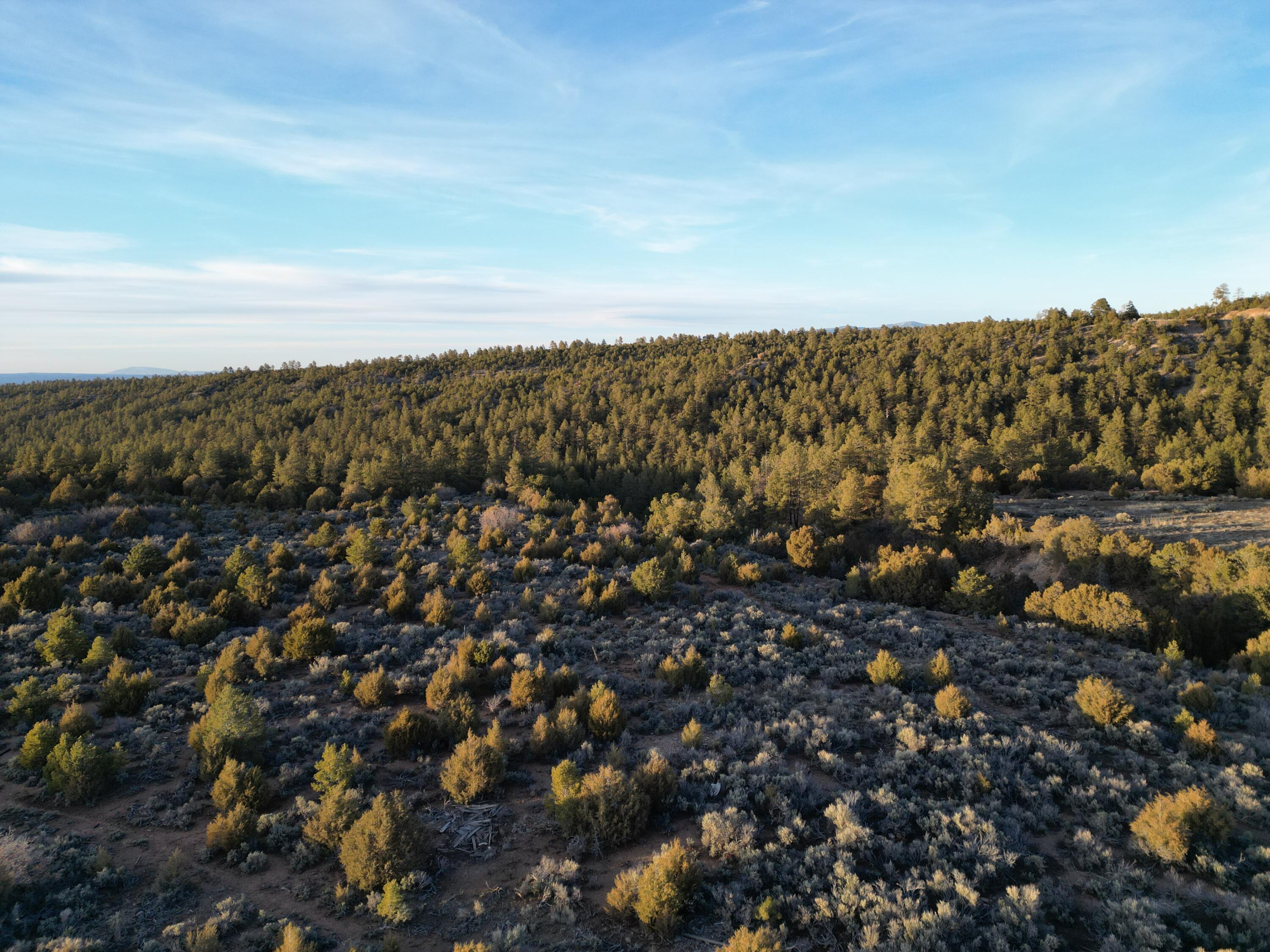 County Rd 76, Truchas, New Mexico image 11