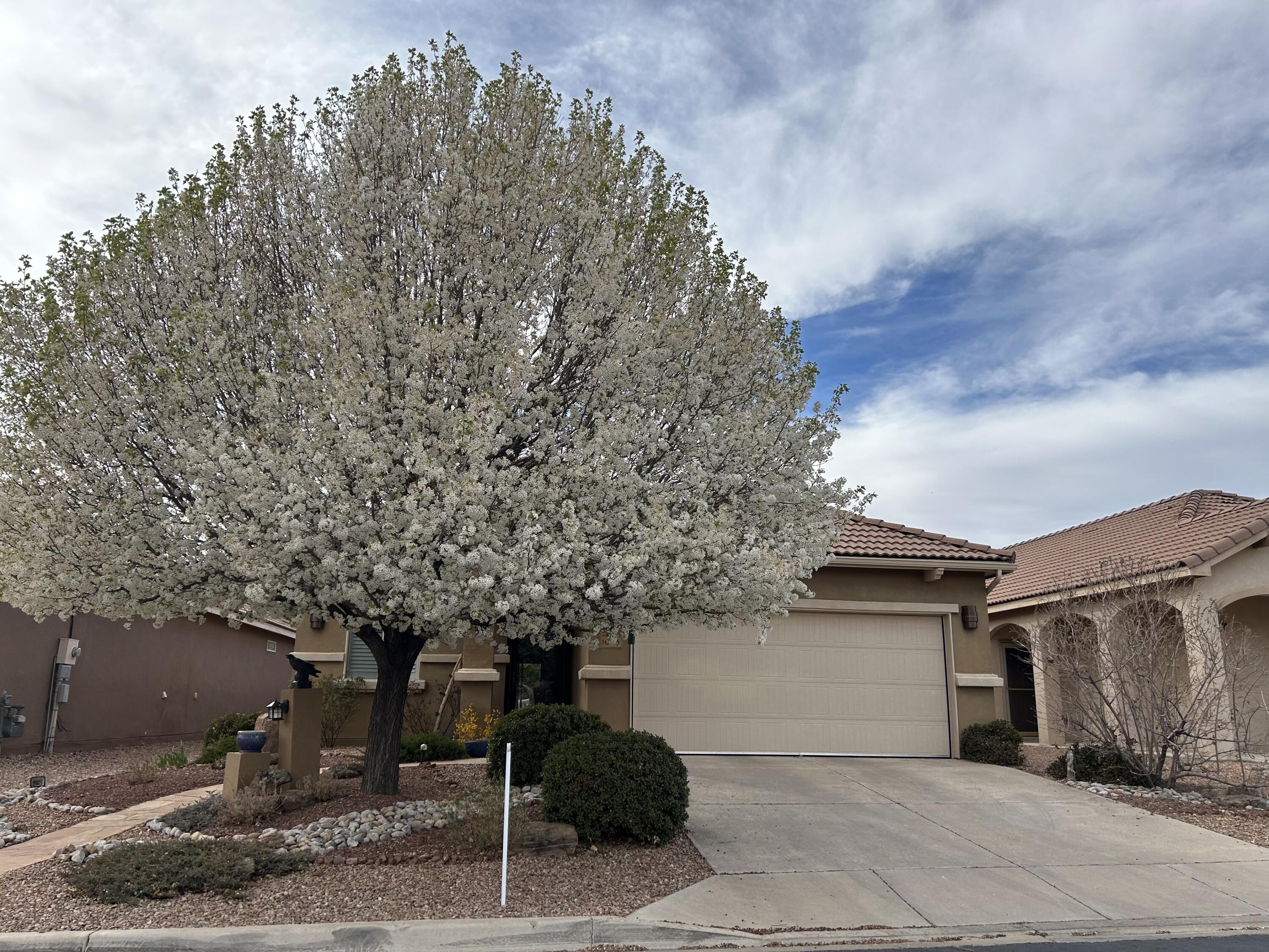 1023 Desert Willow Court, Bernalillo, New Mexico image 31