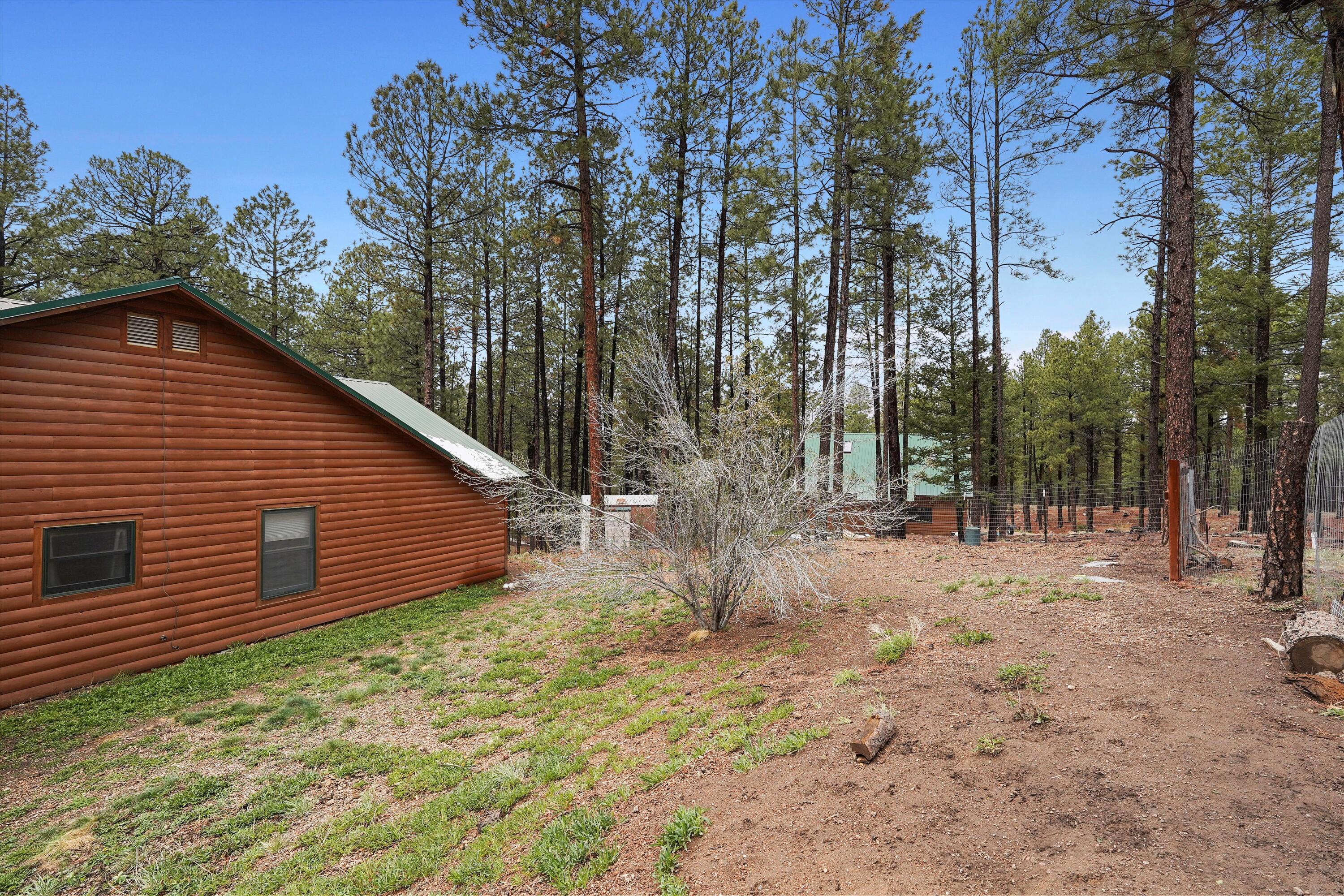10 Outliers Road, Jemez Springs, New Mexico image 45