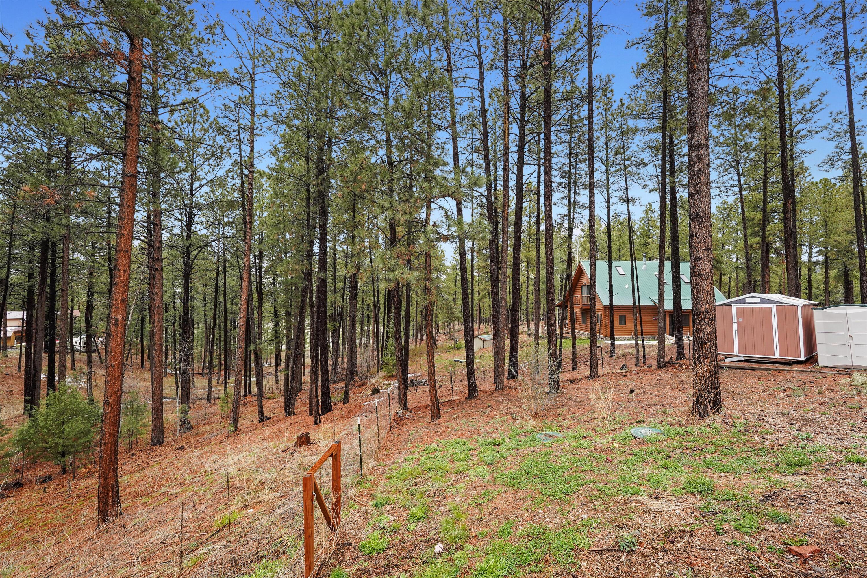 10 Outliers Road, Jemez Springs, New Mexico image 39