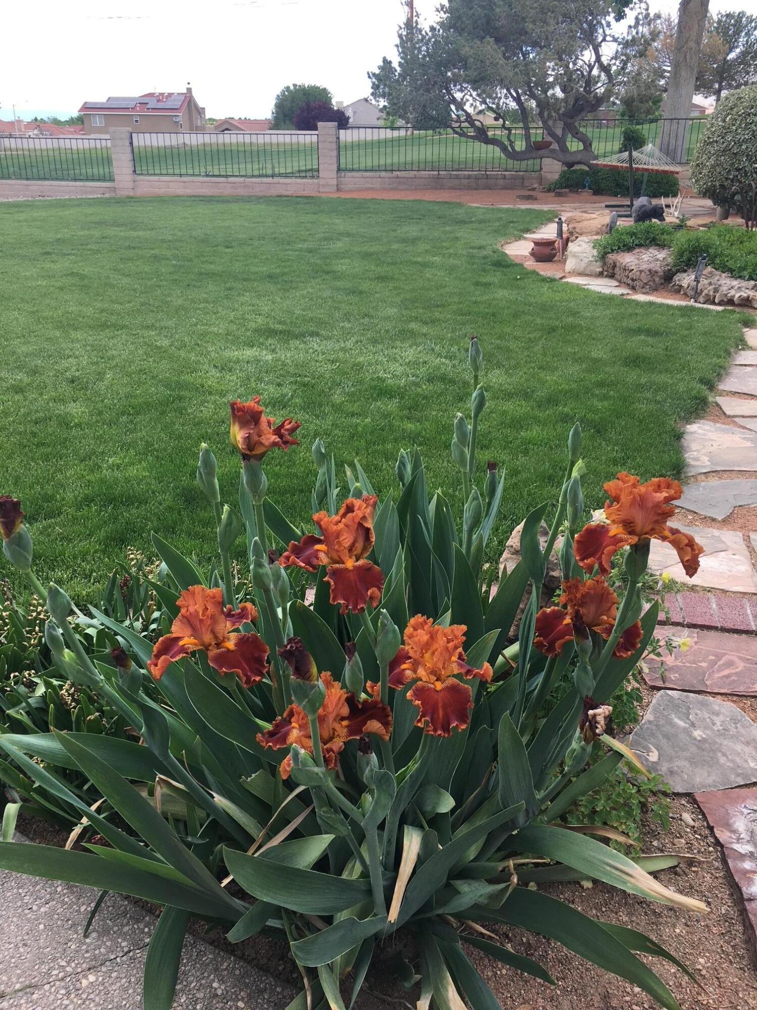 9815 Tanoan Drive, Albuquerque, New Mexico image 41