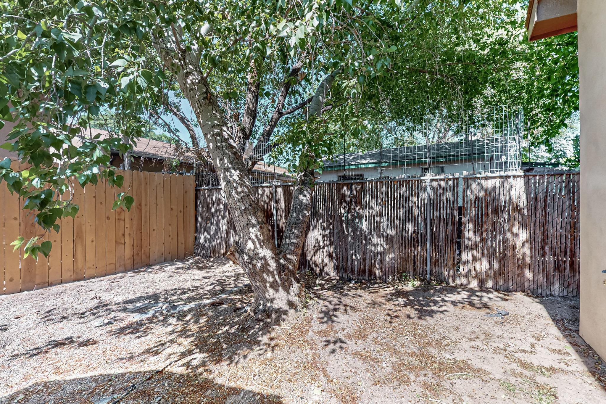 713 Lewis Avenue, Albuquerque, New Mexico image 25