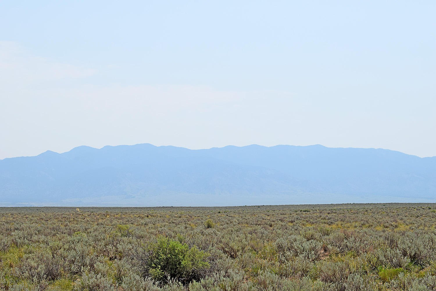 Lot 17 Rio Del Oro #14, Belen, New Mexico image 16