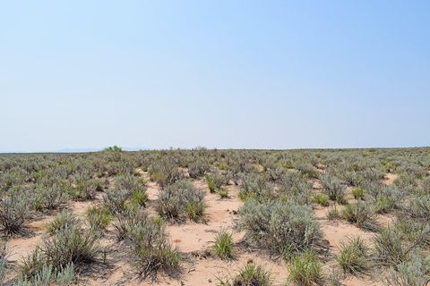 Vacant Land For Sale - LOT 17 Rio Del Oro #14<br/> Belen, NM 87002
