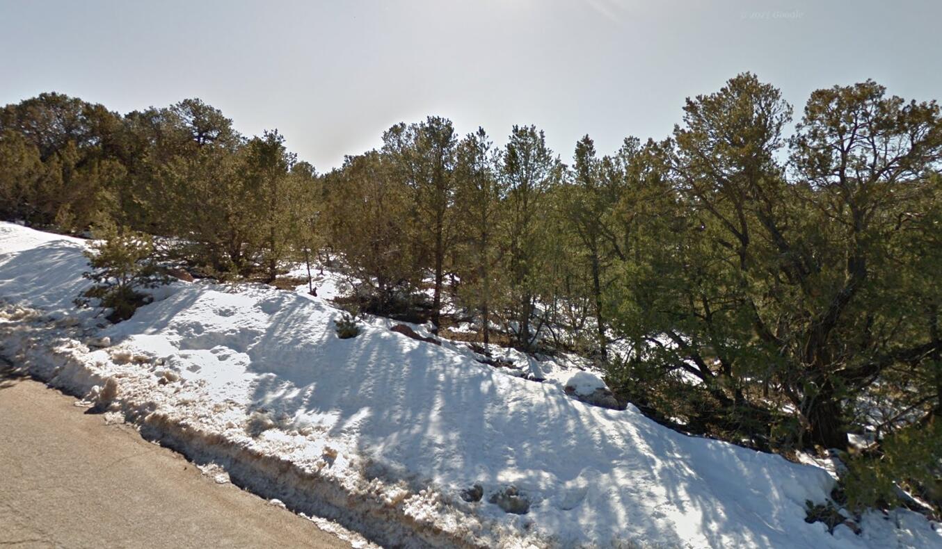 Sharp Road, Sandia Park, New Mexico image 1