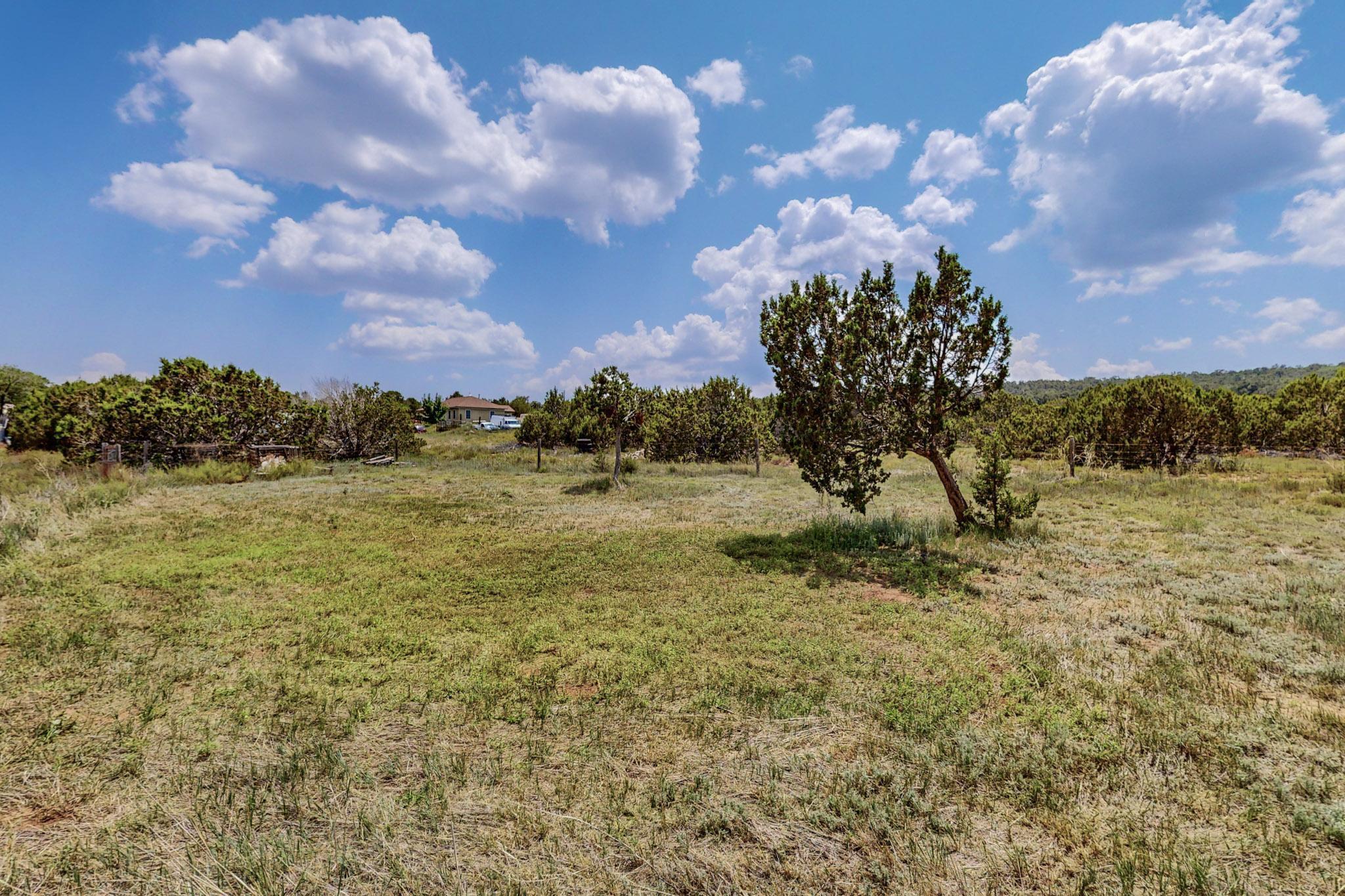 24 Williams Road, Edgewood, New Mexico image 36