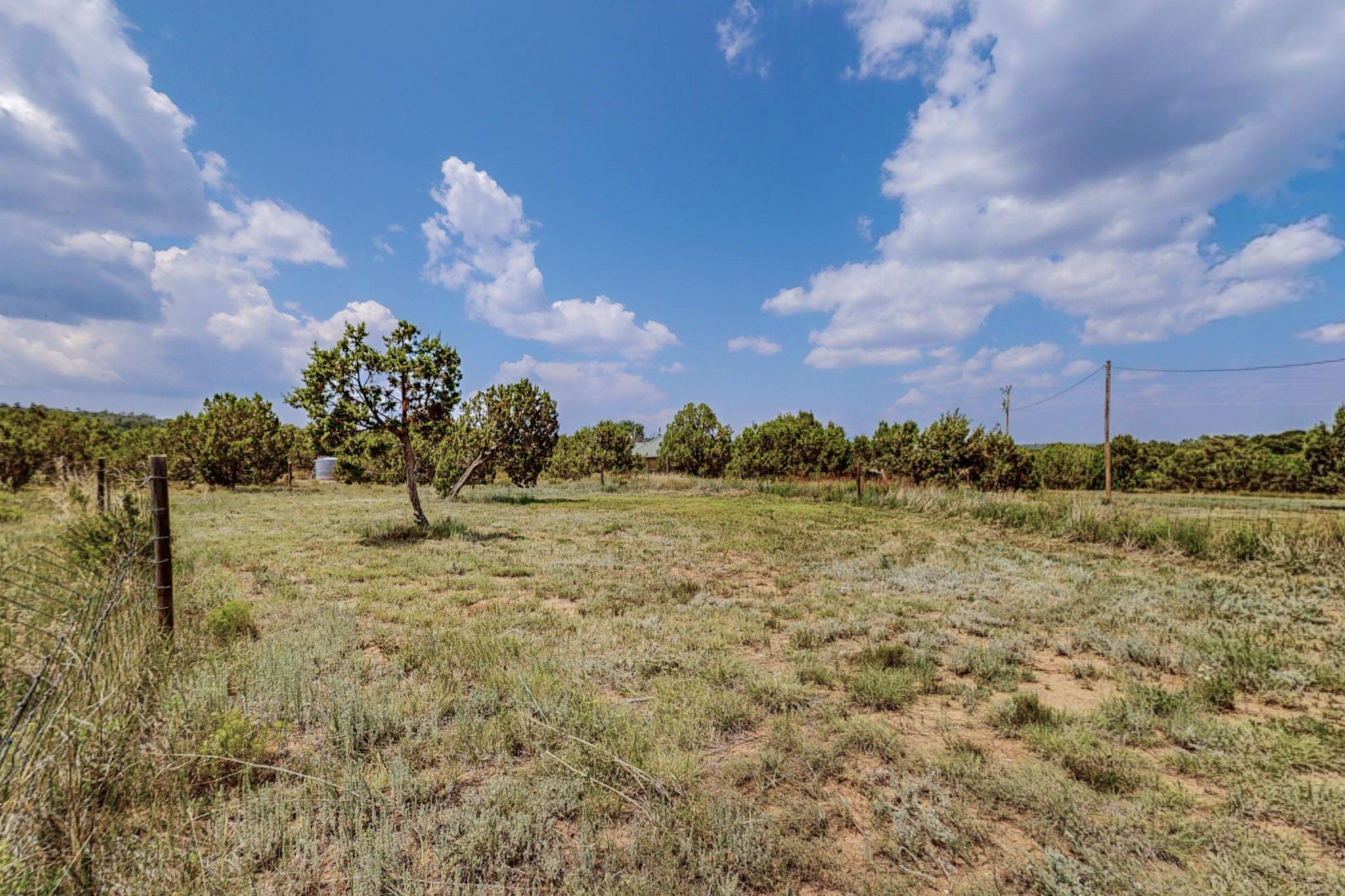 24 Williams Road, Edgewood, New Mexico image 39