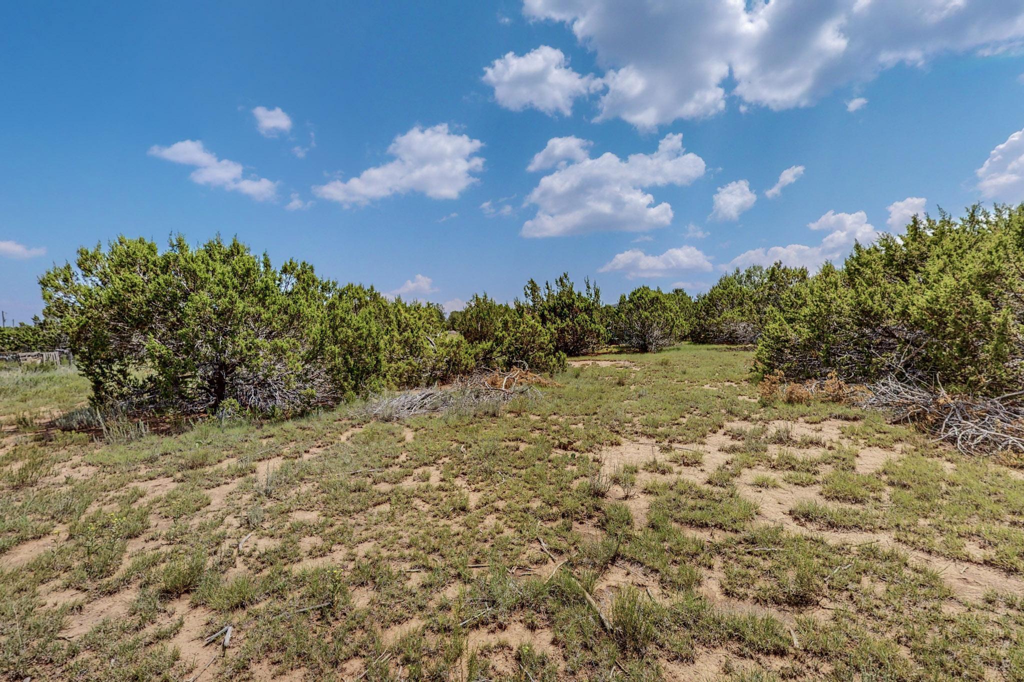 24 Williams Road, Edgewood, New Mexico image 41