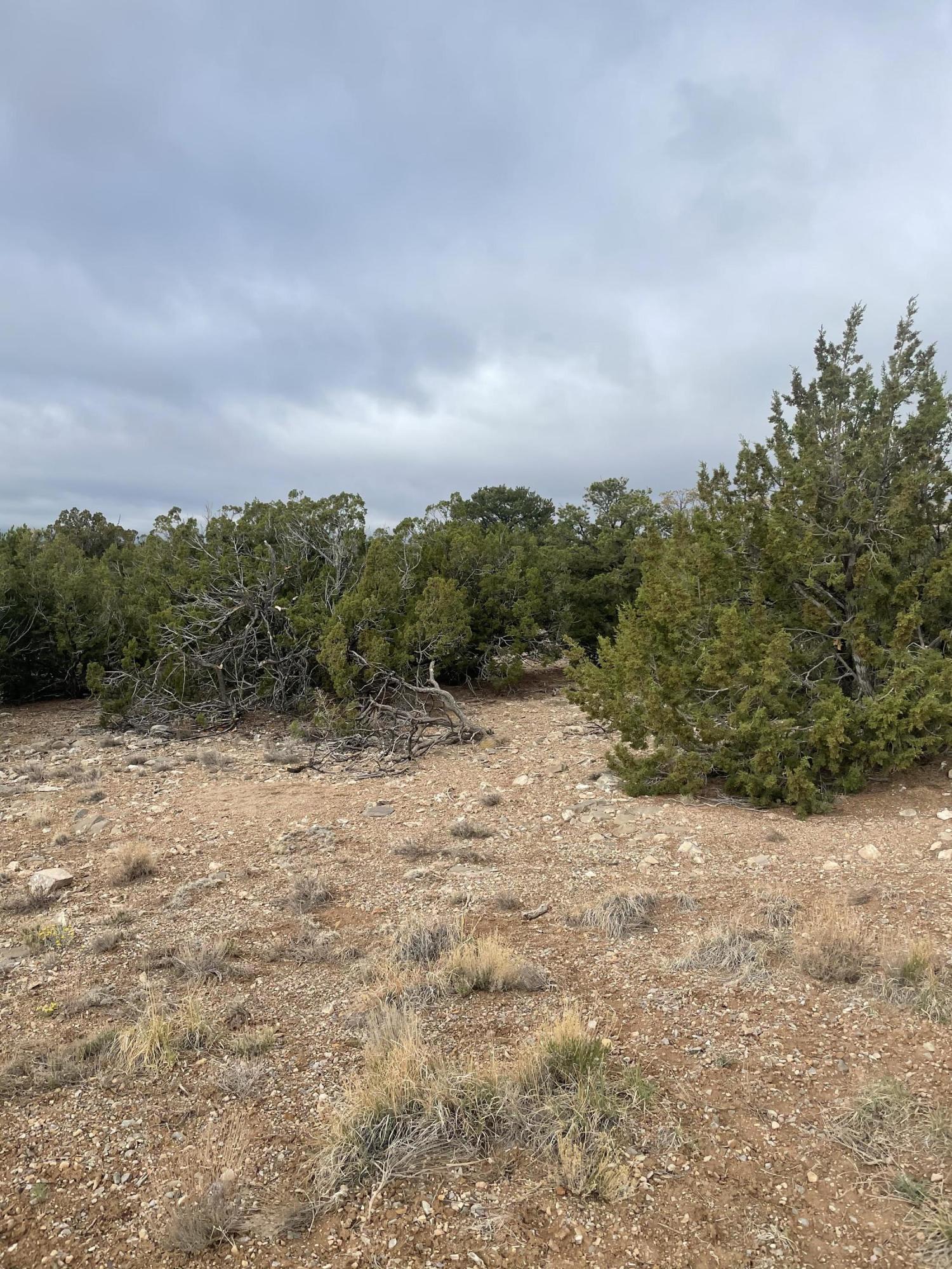 11 Raindance Road, Sandia Park, New Mexico image 6