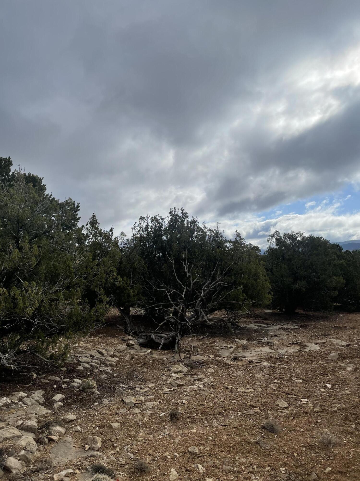 11 Raindance Road, Sandia Park, New Mexico image 8