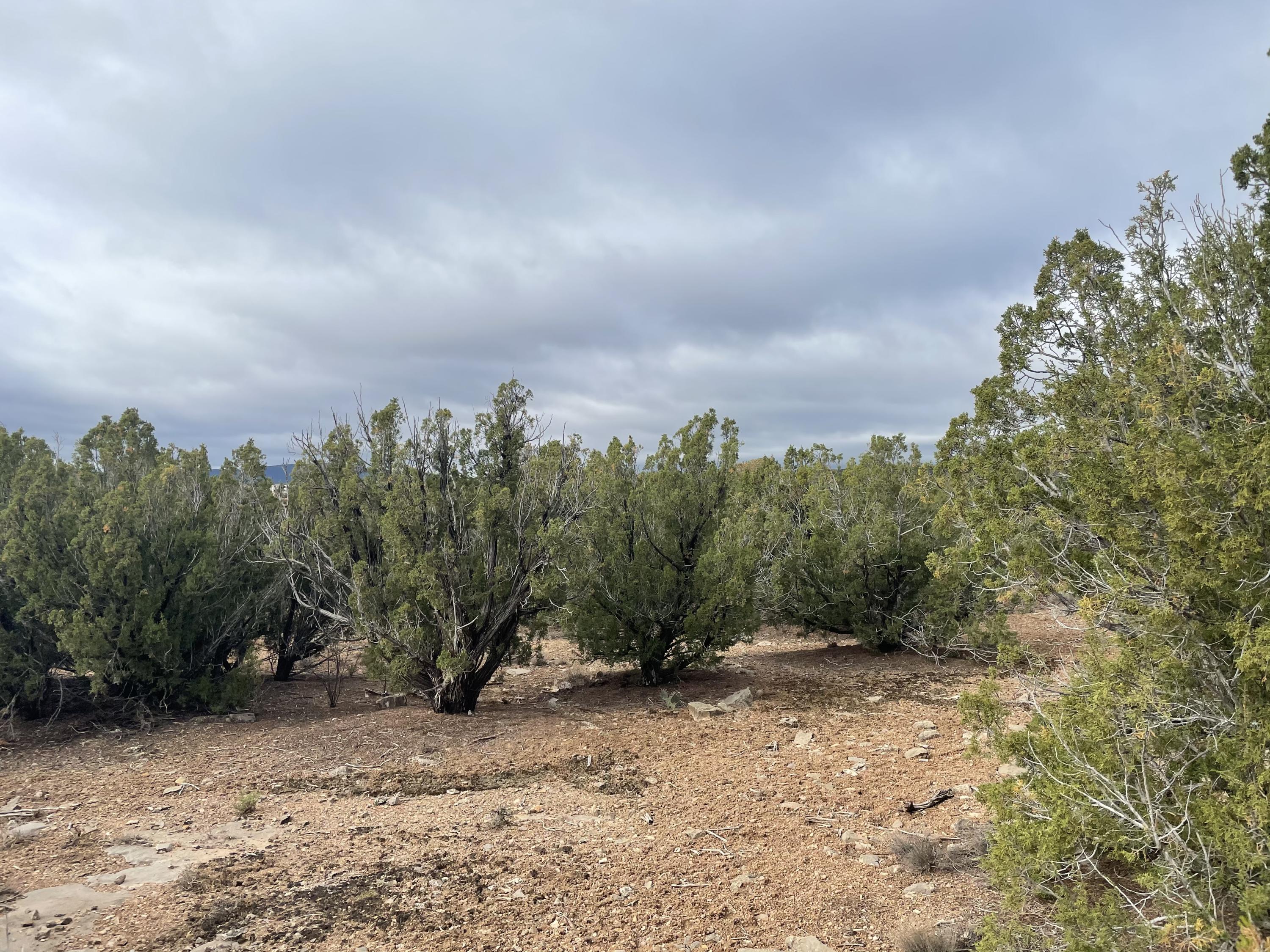 11 Raindance Road, Sandia Park, New Mexico image 1