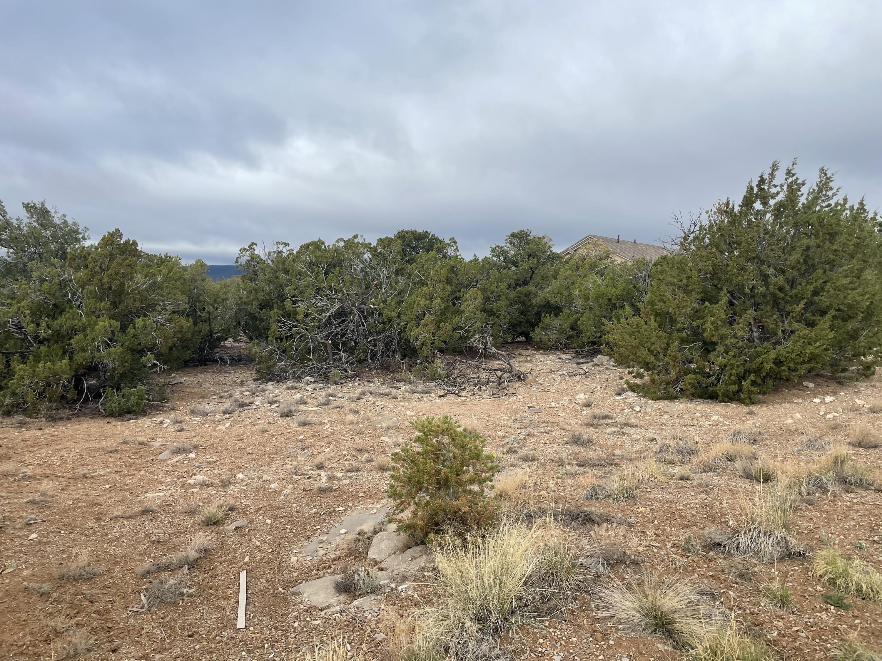 11 Raindance Road, Sandia Park, New Mexico image 3