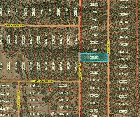 Vacant Land For Sale - LOT 591 Betty Lane<br/> Ramah, NM 87321