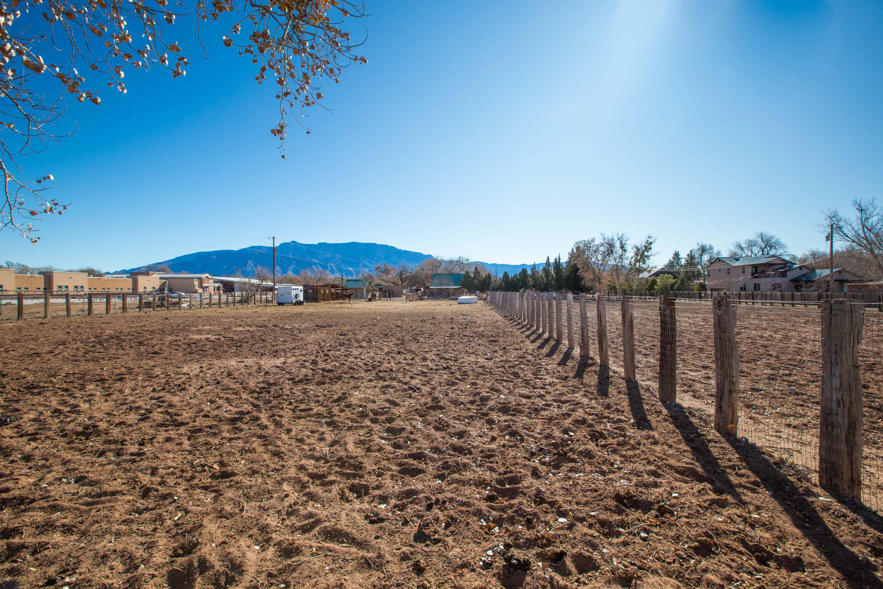 183 La Pasada De Anacleto
