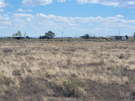 79 GOLONDRINA AVE, MCINTOSH, NM 87032 - Image bf60a1ba4e975fec4ada56cdb49508bc/4255058768
