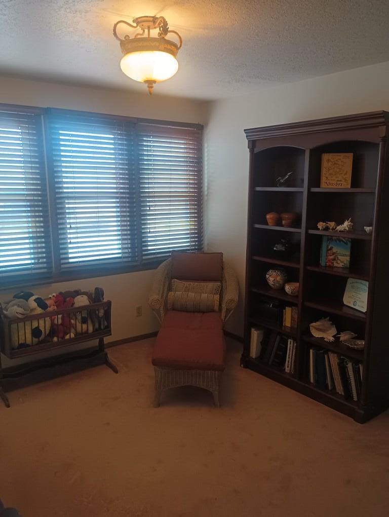 315 Mccutcheon Avenue, Socorro, New Mexico image 35