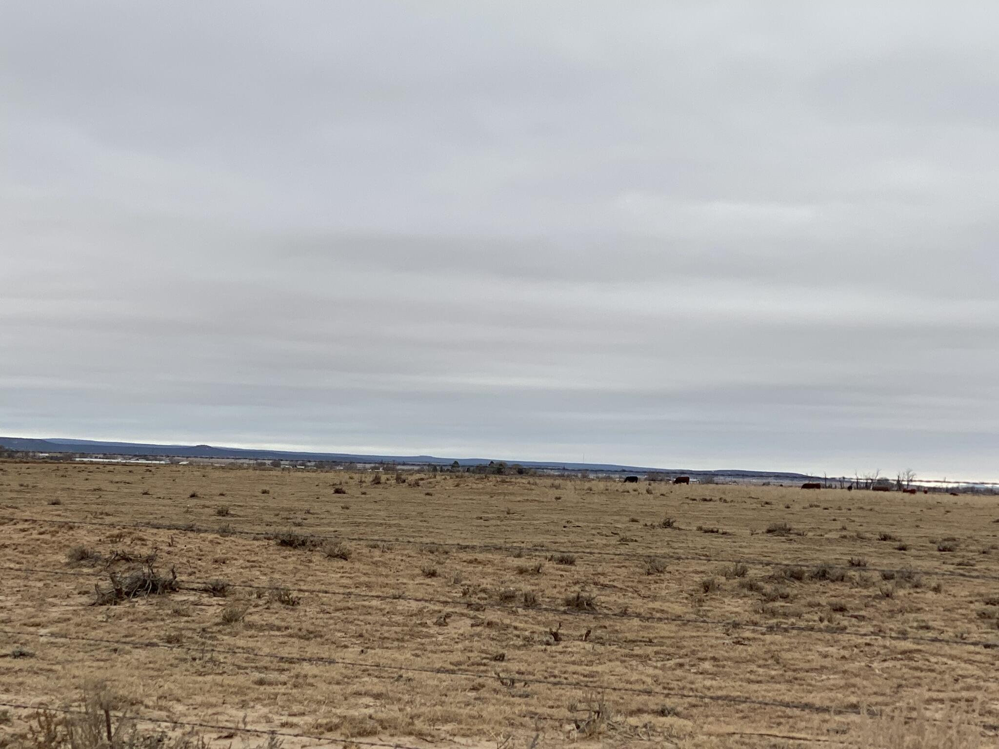 E Howell (tr A-1) Road, Estancia, New Mexico image 6