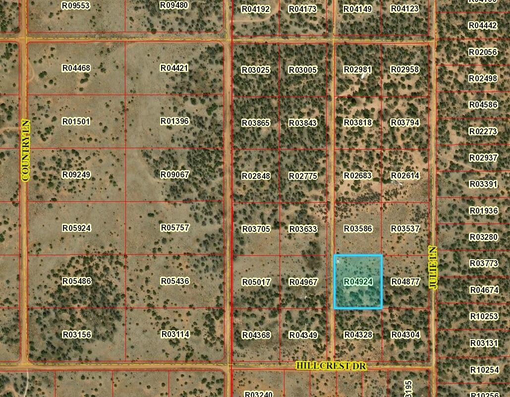 Lot 509 Betty Lane, Ramah, New Mexico image 1