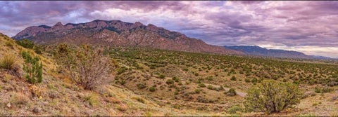 Vacant Land For Sale - Escudo Drive<br/> Valencia County, Belen, NM 87002