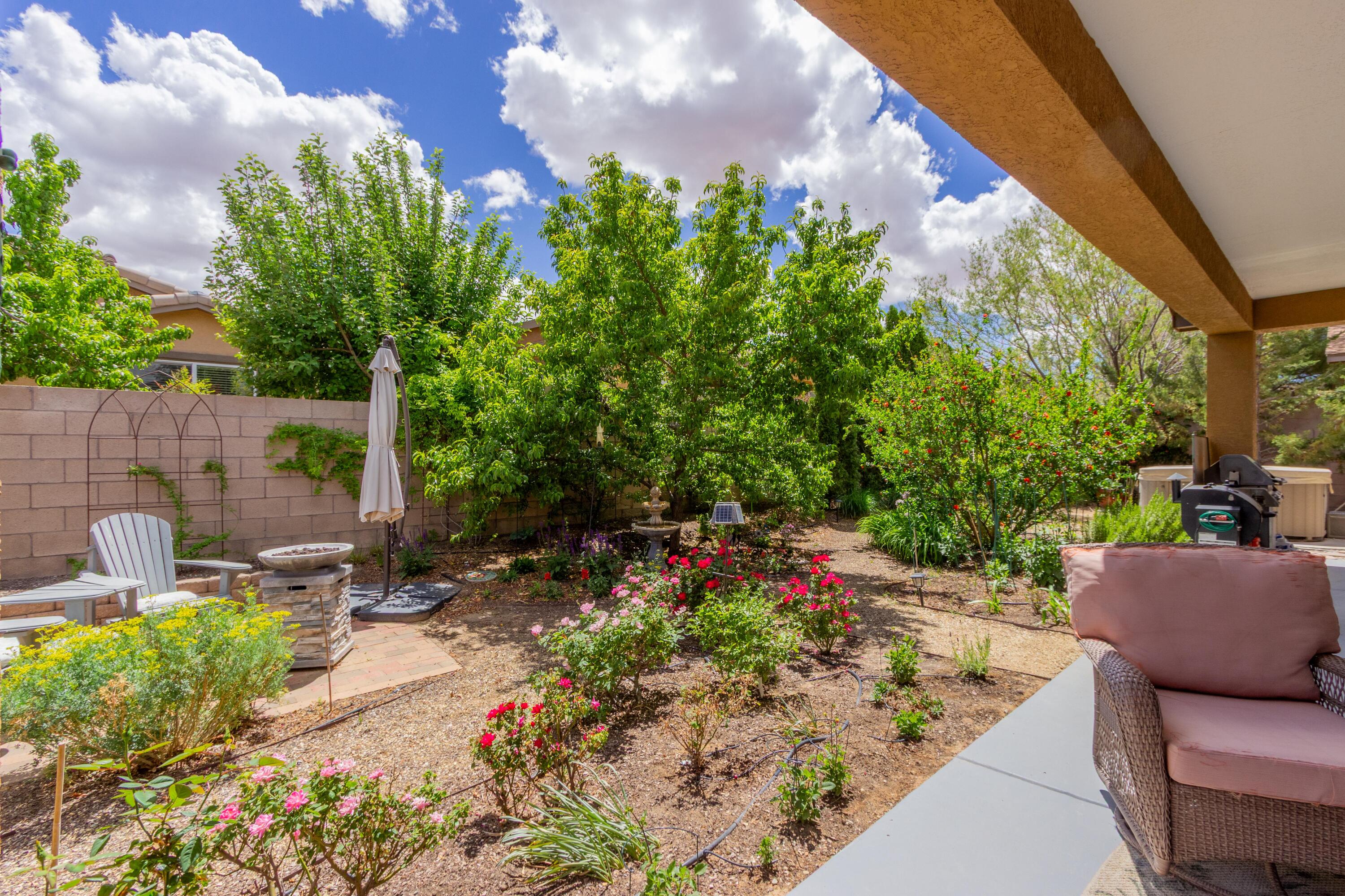 301 Zuni River Circle, Los Lunas, New Mexico image 29