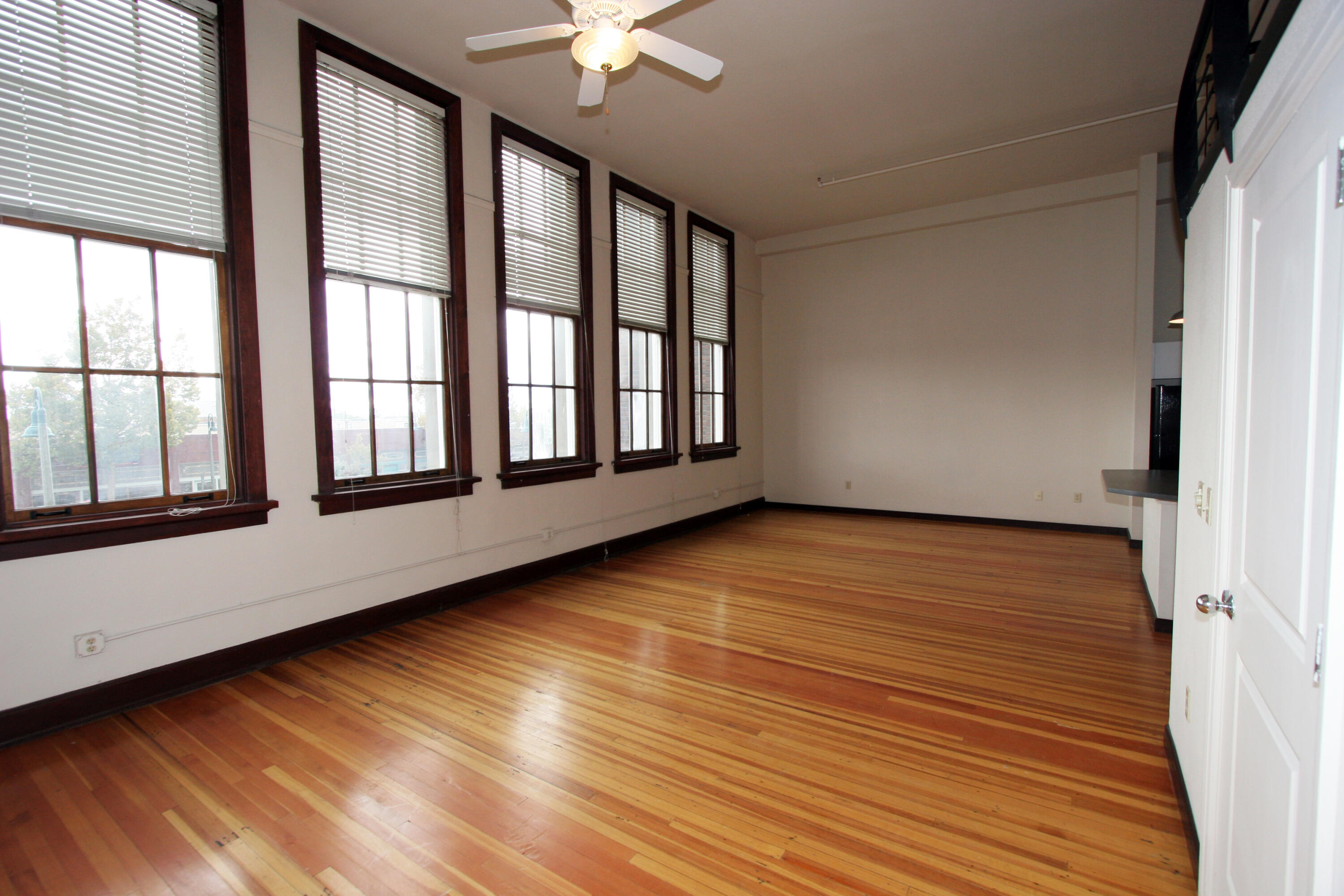 301 Central Avenue #202, Albuquerque, New Mexico image 9
