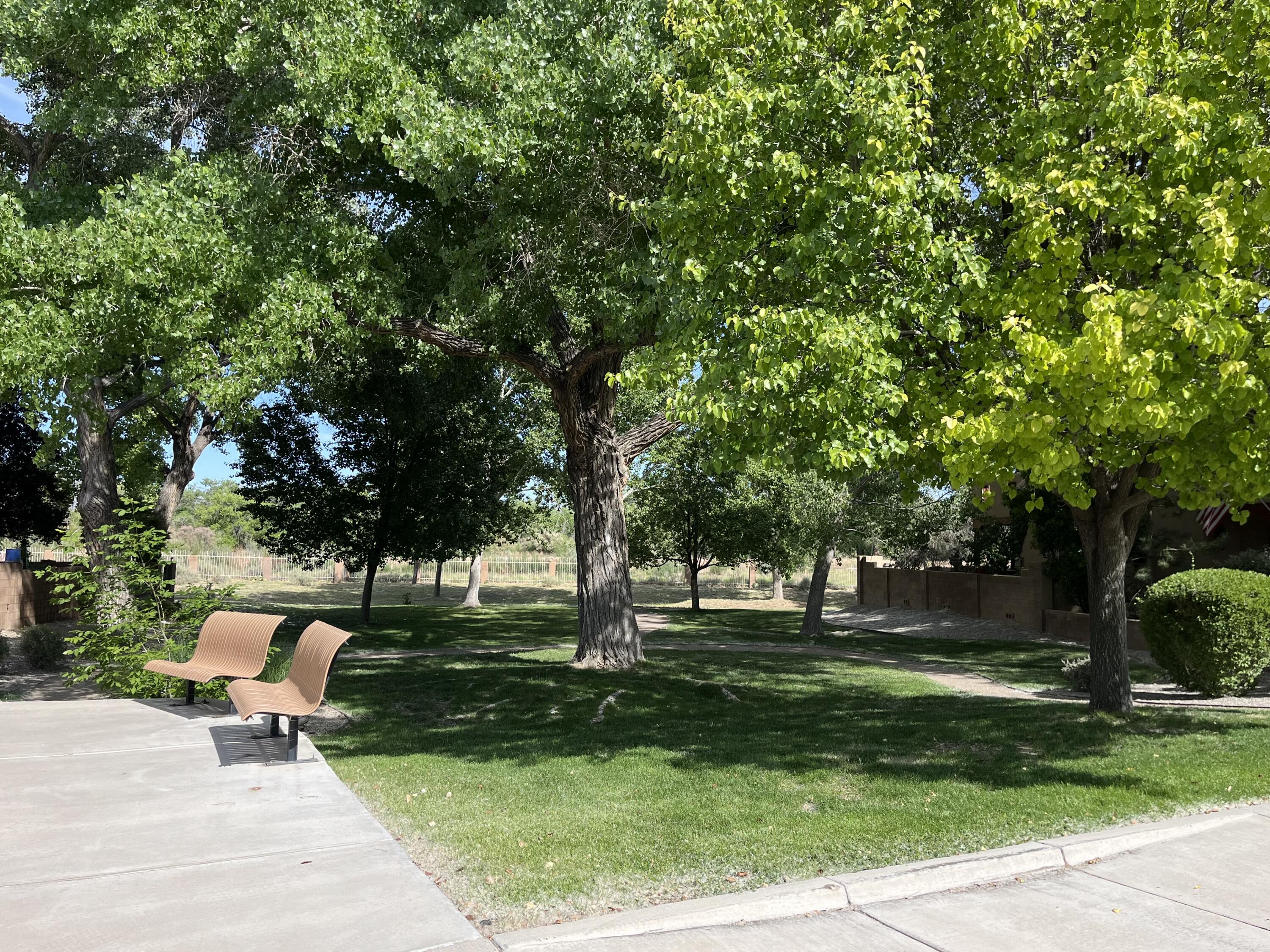 3616 Calle Floresta Court, Albuquerque, New Mexico image 33