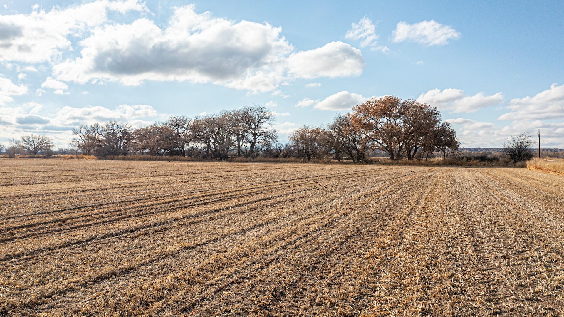 Lot 29a Off Melecio Lane, Veguita, New Mexico image 48