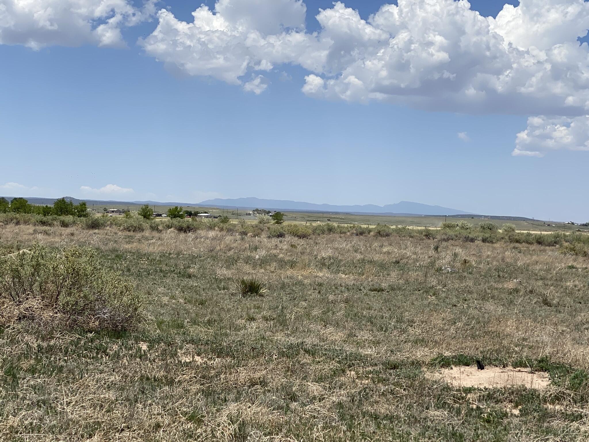 Clements Rd & Andrew Rd Road, Estancia, New Mexico image 7