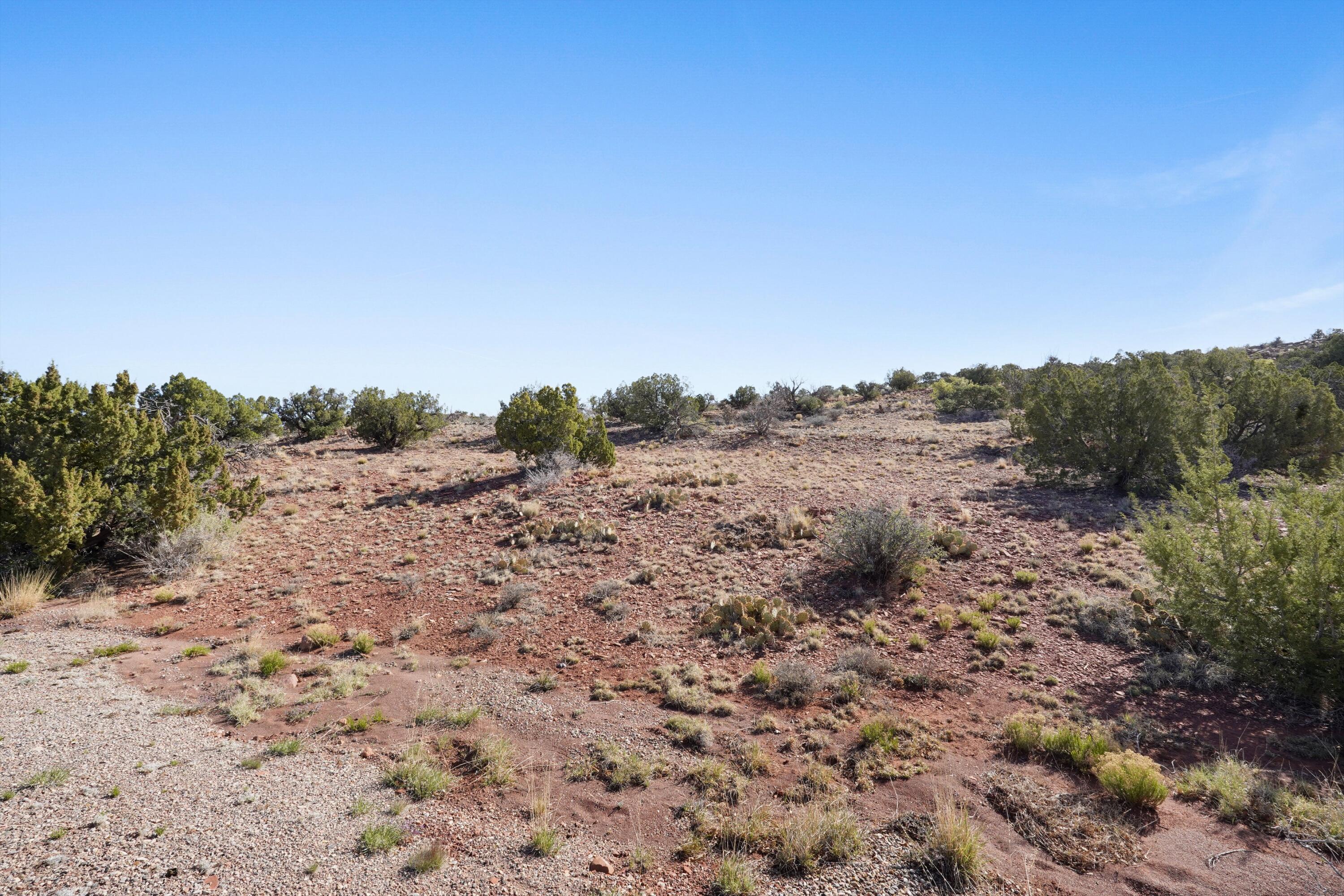 302 Moonlight Ridge Road