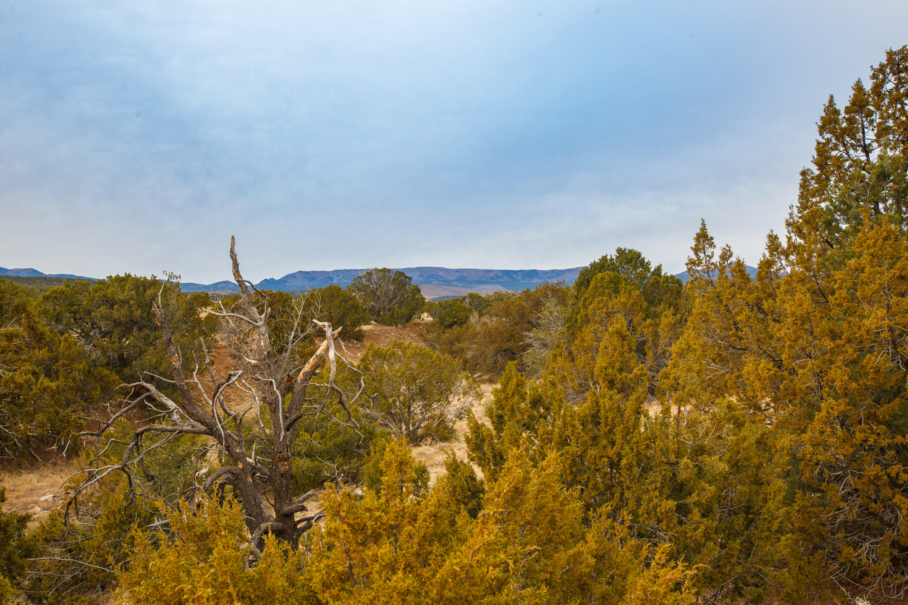 8785 Nm-55, Estancia, New Mexico image 19