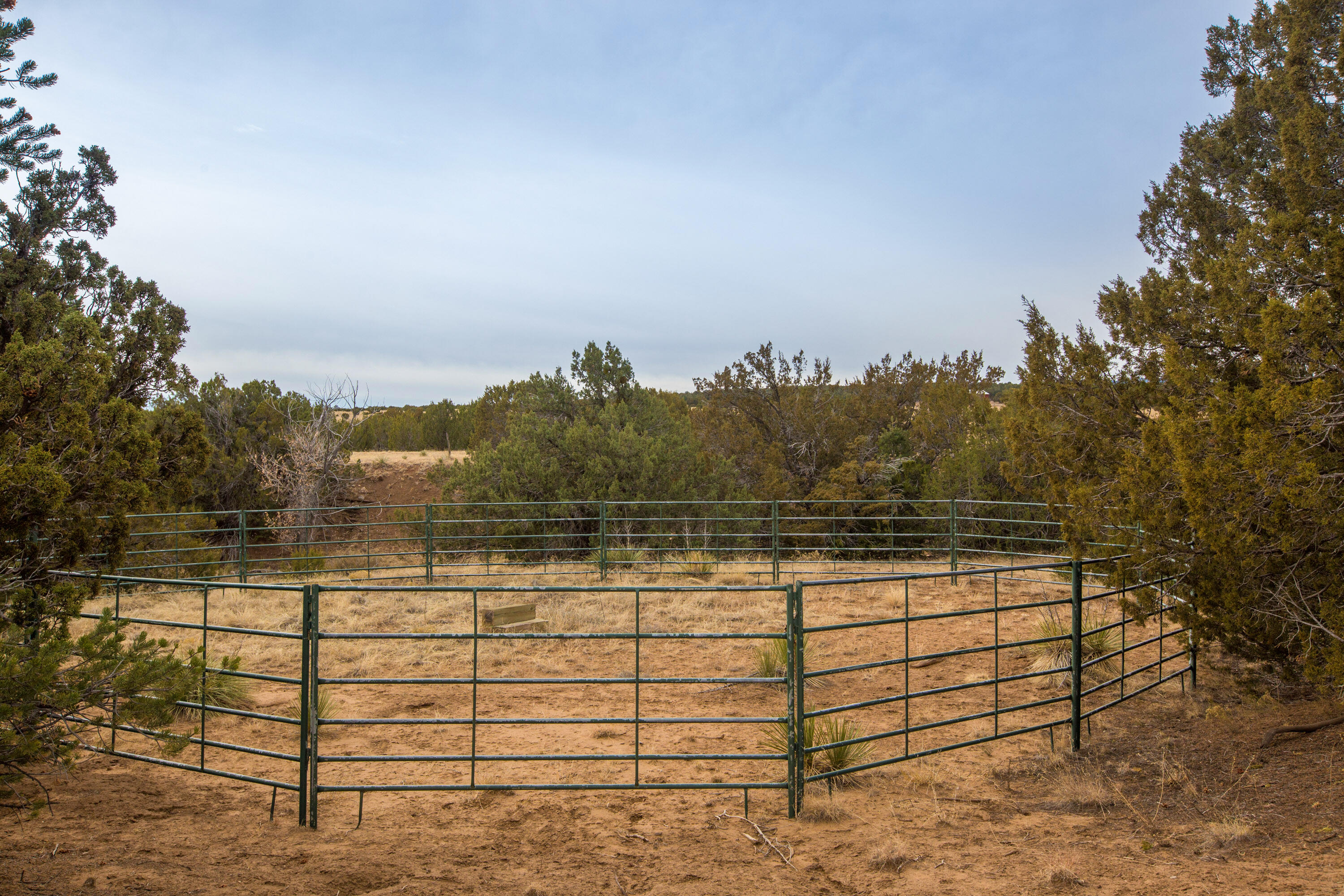 8785 Nm-55, Estancia, New Mexico image 6