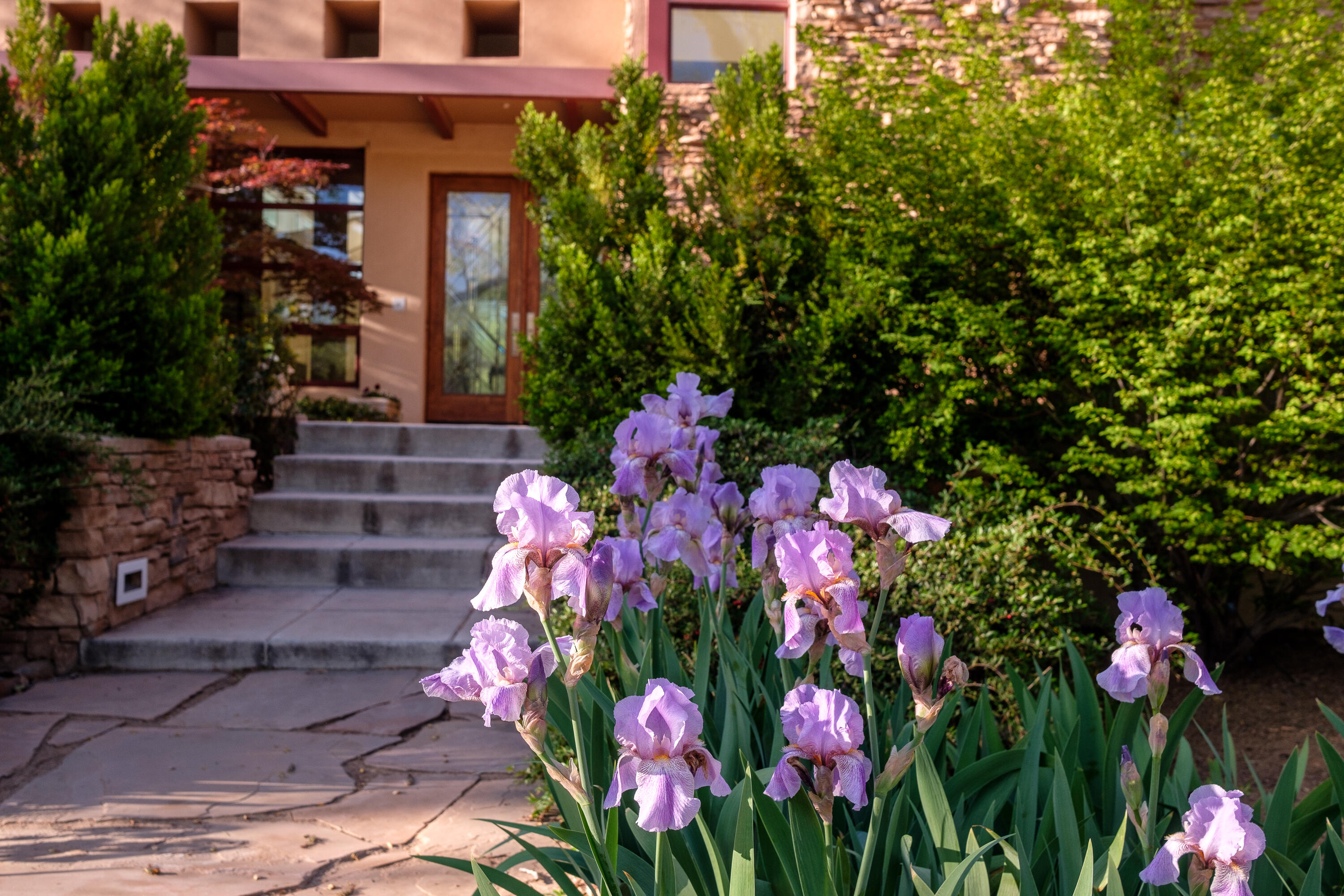 927 Camino Vista Rio, Bernalillo, New Mexico image 4