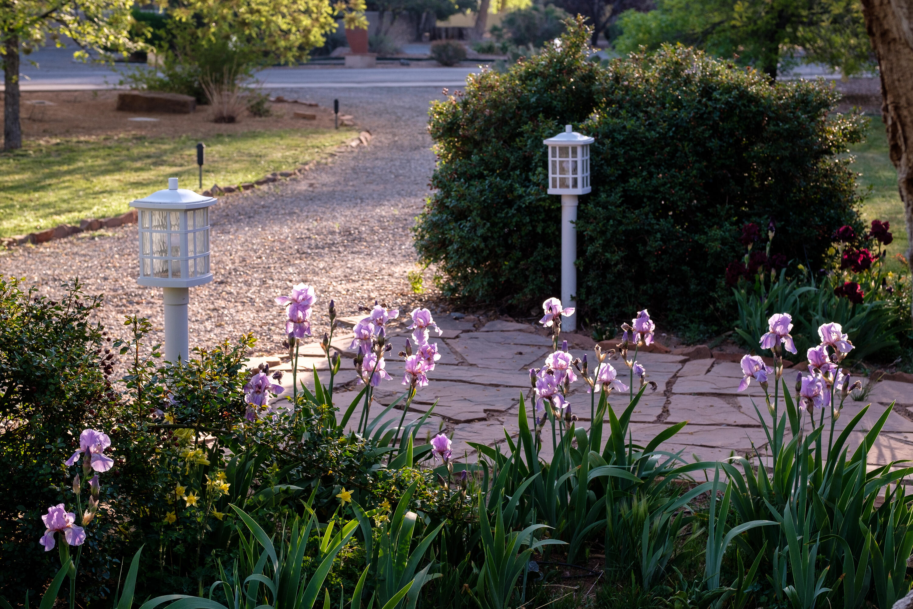 927 Camino Vista Rio, Bernalillo, New Mexico image 3