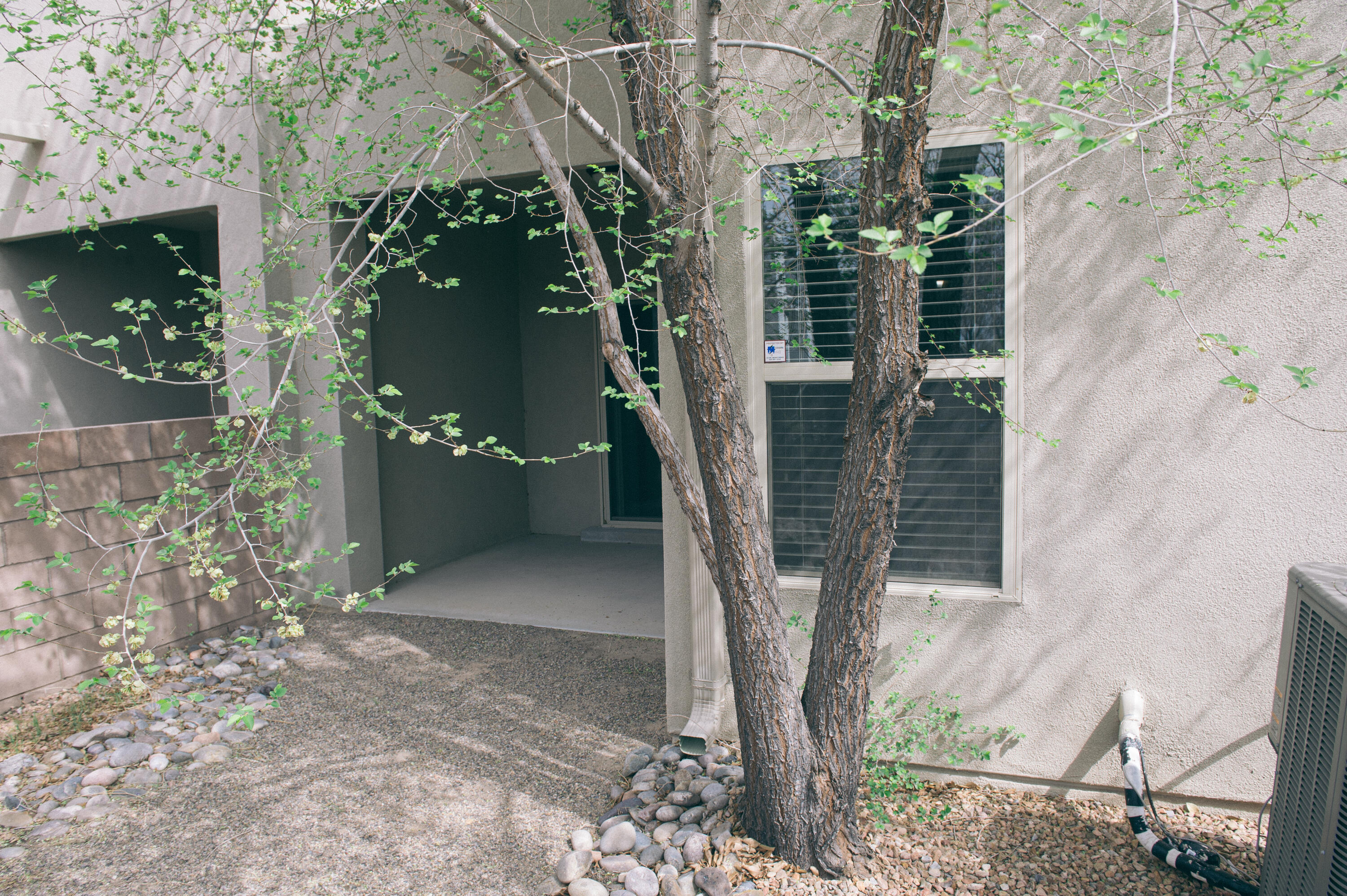 6905 Papaya Street, Albuquerque, New Mexico image 20