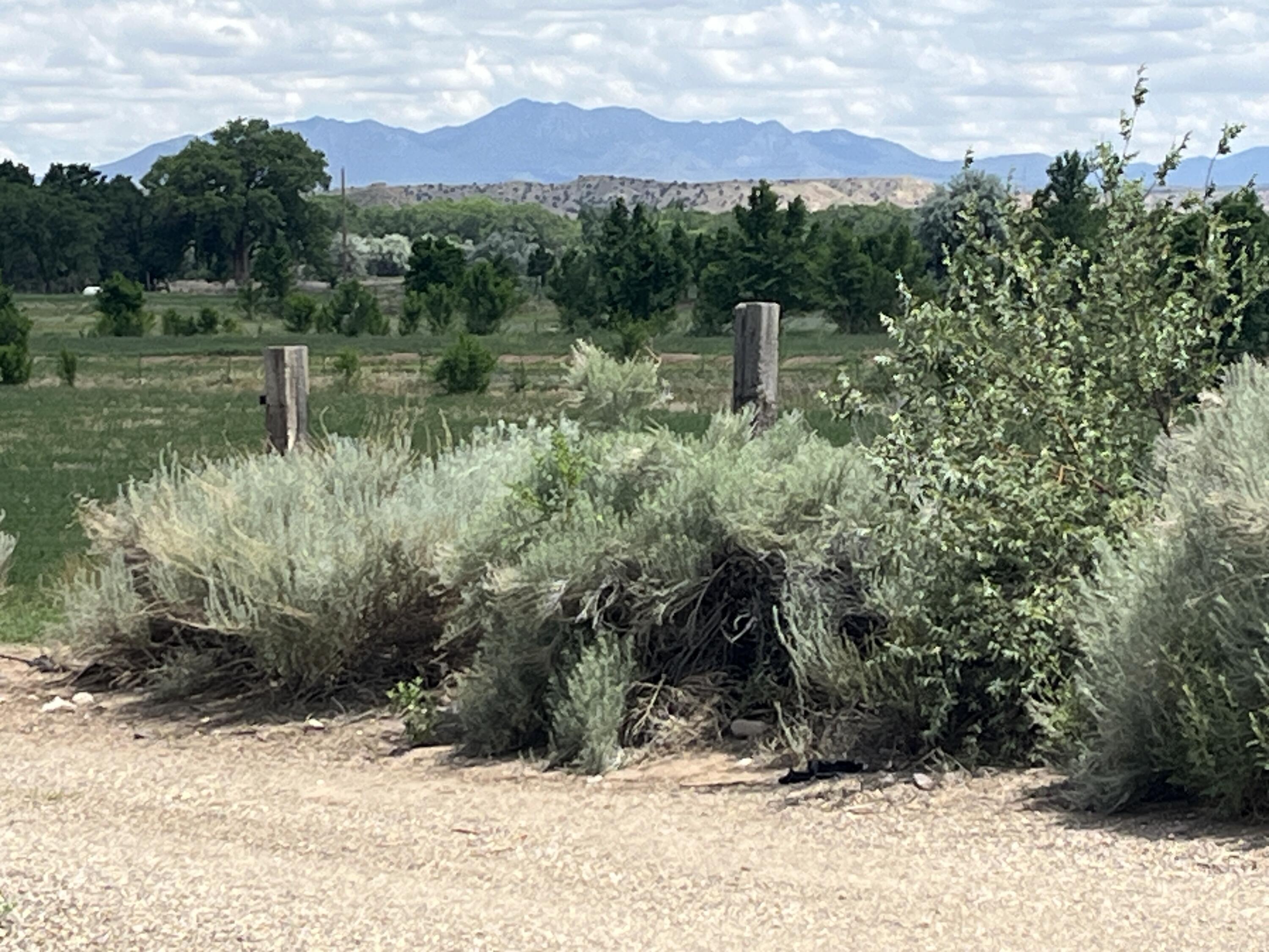 84 Sile Road, Pena Blanca, New Mexico image 49