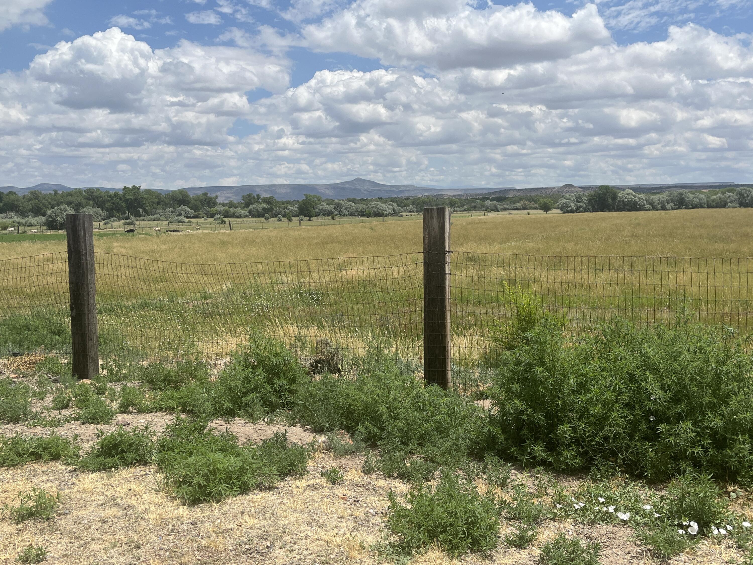 84 Sile Road, Pena Blanca, New Mexico image 7