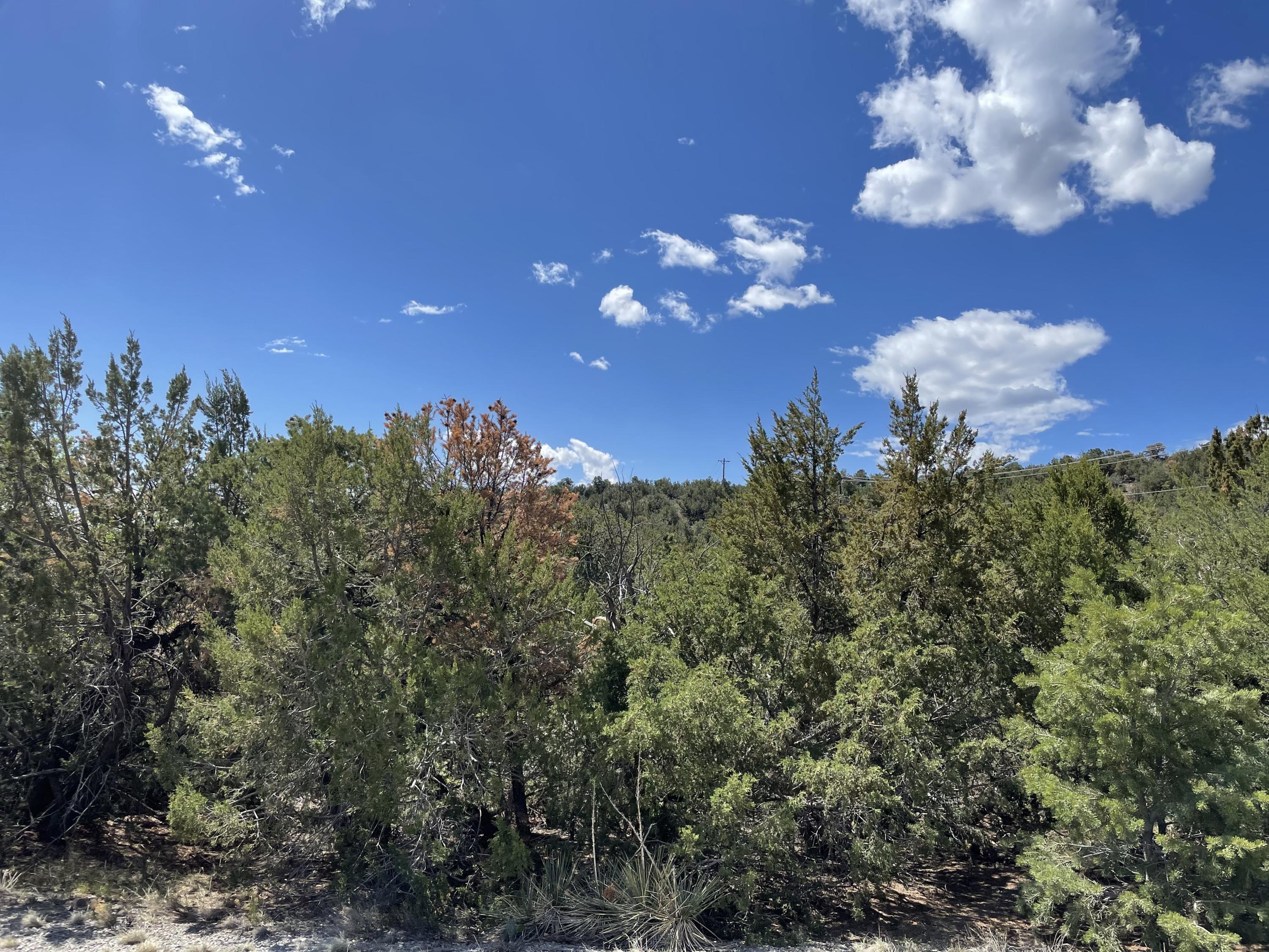 51 Canyon Ridge Drive, Sandia Park, New Mexico image 1