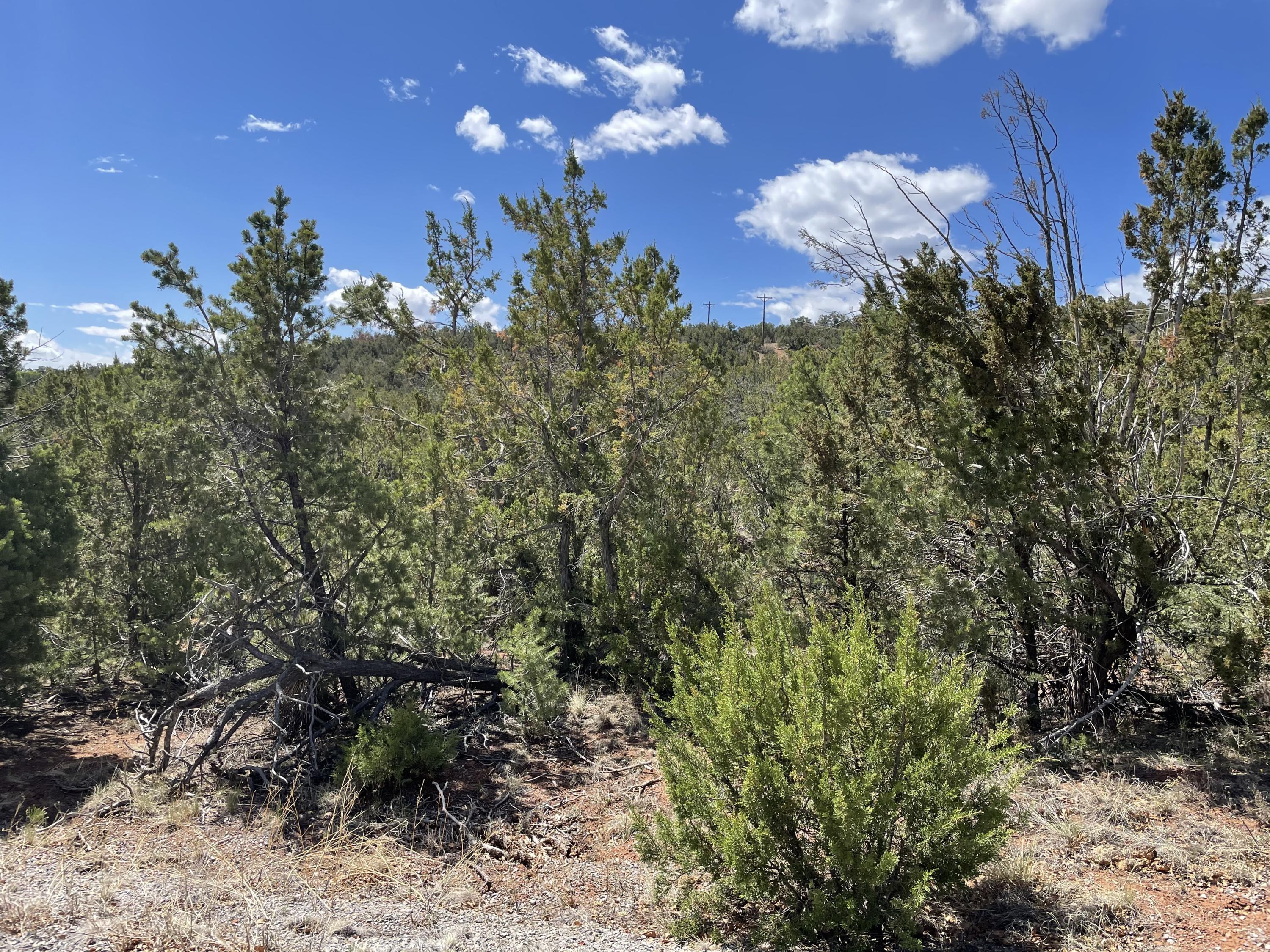 51 Canyon Ridge Drive, Sandia Park, New Mexico image 2