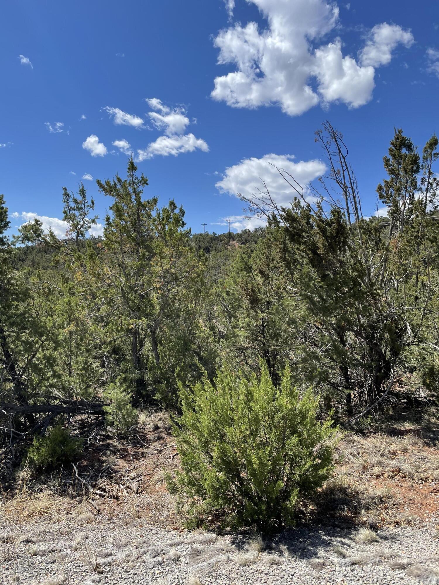 51 Canyon Ridge Drive, Sandia Park, New Mexico image 4