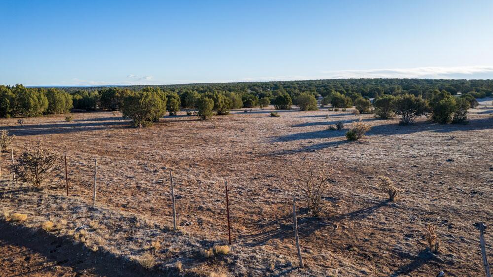 Portrillo Creek Ranch Lot 16, Santa Rosa, New Mexico image 13