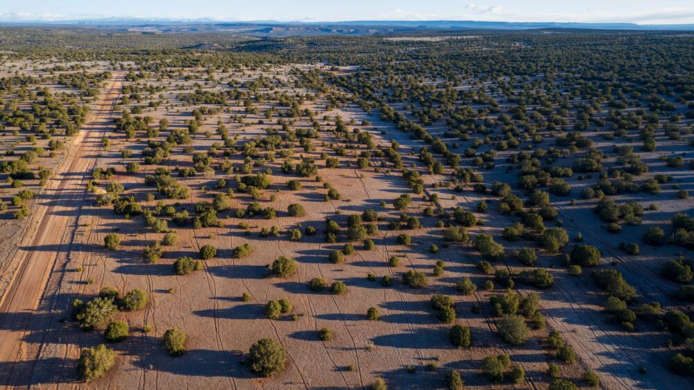 Portrillo Creek Ranch Lot 16, Santa Rosa, New Mexico image 9