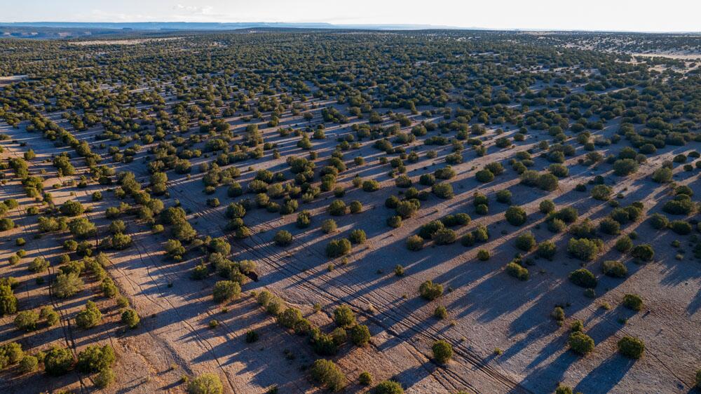 Portrillo Creek Ranch Lot 16, Santa Rosa, New Mexico image 7