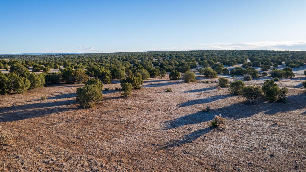 Portrillo Creek Ranch Lot 16, Santa Rosa, New Mexico image 10